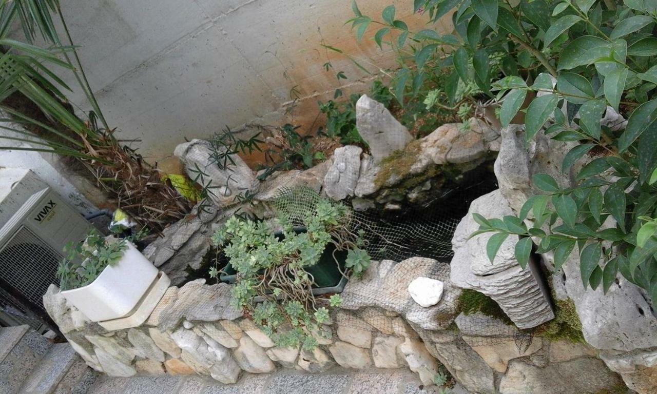 Apartment Jozefina Poreč Kültér fotó